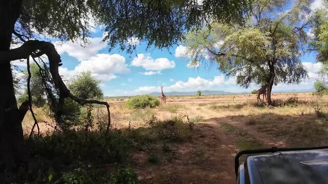 A 4x4 drives through the savannah in Kenya