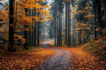 Winding path through a misty autumn forest with vibrant orange foliage