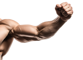 Muscular male arm demonstrating bicep strength isolated on transparent background