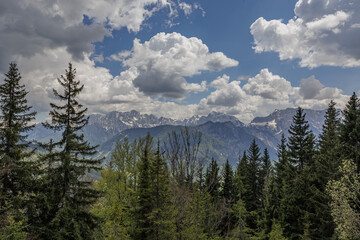 dettagli di un bellissimo ambiente di montagna, nel territorio montano di Tarvisio, nell'Italia nord orientale, visto da lontano e da dietro gli alberi di un bosco, di giorno, in estate