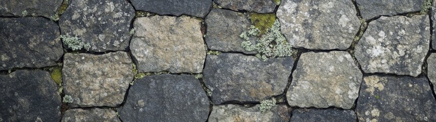 Obraz premium Autumn Bark Textures with Vibrant Moss and Lichen, rich earthy tones, ideal for forest-themed projects, showcasing nature's details in a minimalist style, perfect for backgrounds