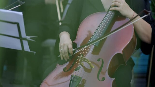 Violin concert. Musician playing cello outdoors. Cellist play music for the wedding. Wedding music concert