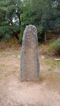 megalithic menhirs arise in the nuragic village of biru and concas