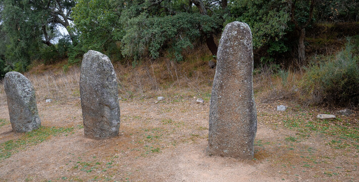 megalithic menhirs arise in the nuragic village of biru and concas