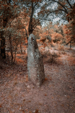 megalithic menhirs arise in the nuragic village of biru and concas