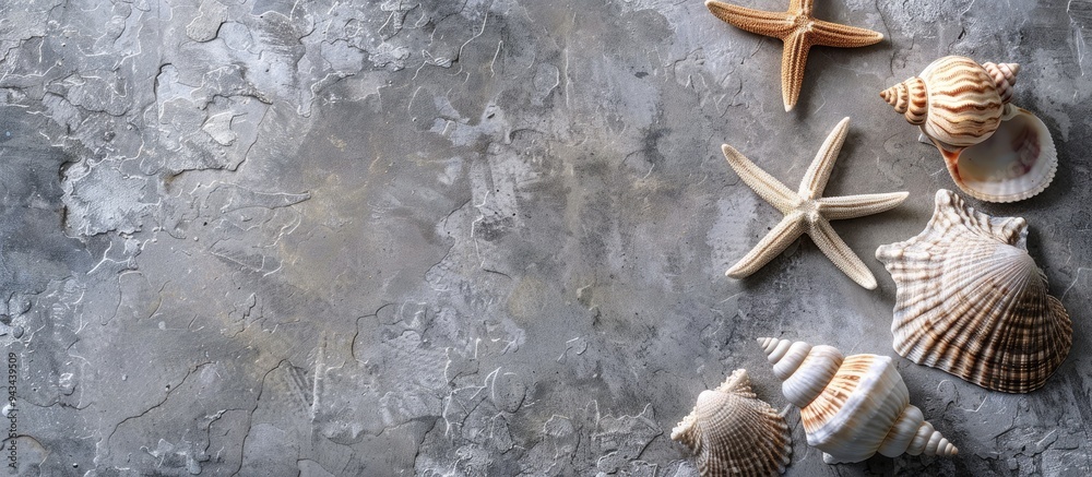 Poster Table background with sea shells or starfish representing a summer theme ideal for texts with a copy space image