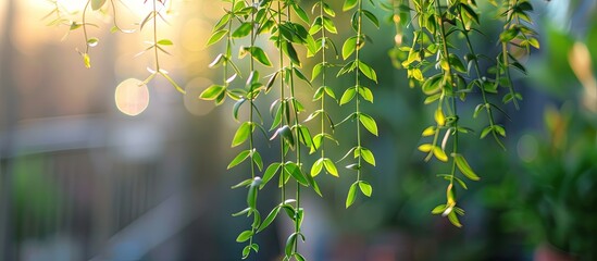 Obraz premium A magnifying glass magnifies the words STAY FOCUSED on a calculator set against a black backdrop creating an intriguing copy space image