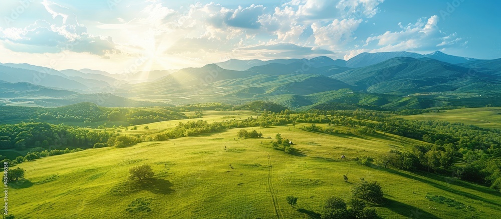 Leinwandbilder aerial view landscape showing a green meadow in the countryside during spring or summer with a sunny