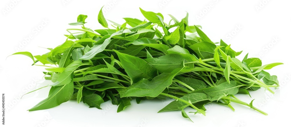 Poster a detailed image featuring a water spinach or ipomoea aquatica pile isolated on white with room for 