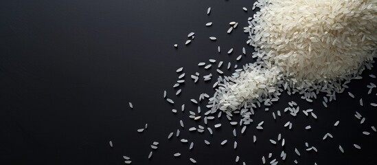 Black background displaying rice with copy space image