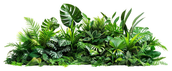 Naklejka premium PNG Lush tropical indoor plant arrangement