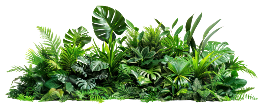 PNG Lush tropical indoor plant arrangement