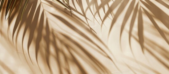 Obraz premium Lush palm leaves create shadow patterns on a beige background forming a textured silhouette ideal for product placement in abstract defocused copy space image