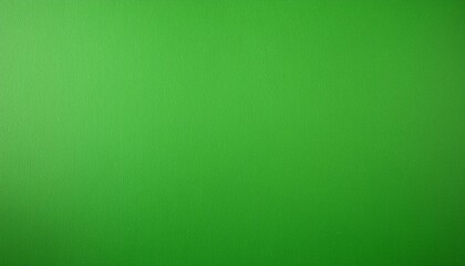Fototapeta premium gradient in green paper texture background