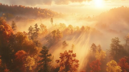 Obraz premium A misty autumn morning with the sun breaking through, illuminating the earth below.