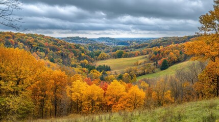Fototapeta premium A view of rolling hills covered in autumn colors, under a soft, cloudy sky.