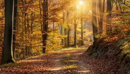 Fototapeta premium Walk Through a Sunlit Autumn Forest Path Filled with Colorful Leaves and Tranquil Beauty. Generative AI.