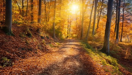 Obraz premium Experience the Magic of Autumn: A Forest Path Covered in Vibrant Leaves Bathed in Sunlight. Generative AI