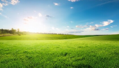 Obraz premium beautiful panoramic natural landscape of a green field with grass against a blue sky with sun spring summer blurred background