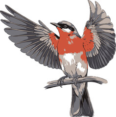 Bird  vector style silhouette with white background