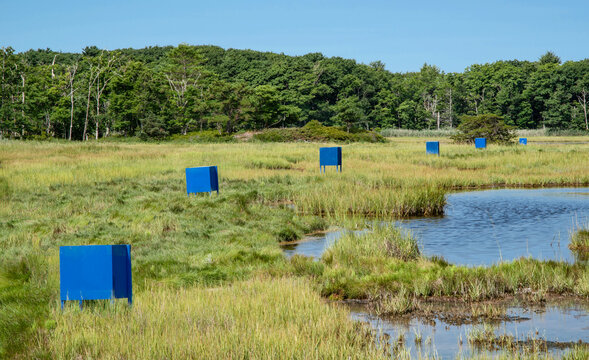 Salt Marsh Fly Traps:  Large blue boxes trap greenhead flies as part of an environmentally conscious pest control project for coastal New England.
