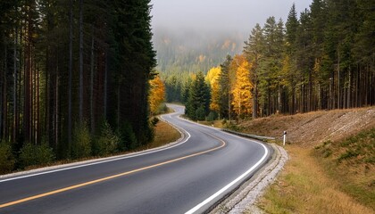Obraz premium scenic winding road through dense pine forest in autumn
