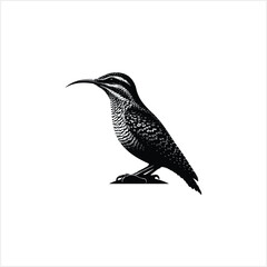 Fototapeta premium Wryneck bird circle logo design.Vector illustration 
