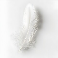 Obraz premium Pristine White Feather Effortlessly Floating Against Crisp White Backdrop in Serene Neo-Romantic Ambiance