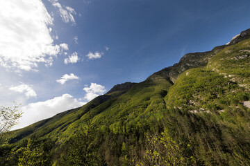 ampia vista panoramica di un selvaggio ambiente naturale tra le montagne della Slovenia, di giorno, in estate, sotto un cielo sereno