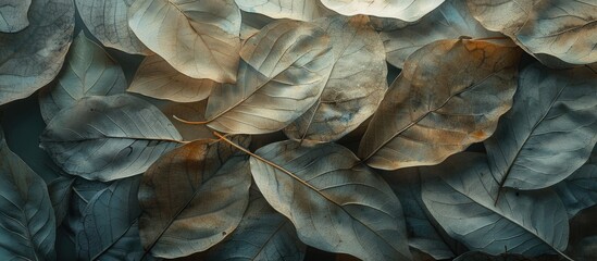 Soft focus enhances the natural background s gray and beige leaf texture with ample copy space image