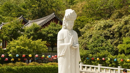 buddha in temple