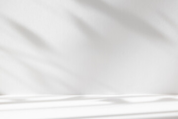 Abstract white color studio background for product presentation. Empty room with shadows of window and flowers and plant leaves . 3d room with copy space. Summer concert. Blurred backdrop.