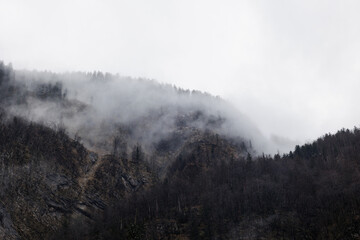 ripide pareti di una montagna, coperte da bosco oscuri e da nuvole basse, in un cielo coperto e grigio, in inverno, nelle montagne Slovene