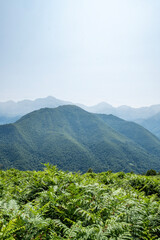 Fototapeta premium Dirt Path Through Mountainous Terrain
