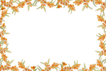 Watercolor frame of ripe sea buckthorn berries, isolated on white background, for your design card poster invitation frame