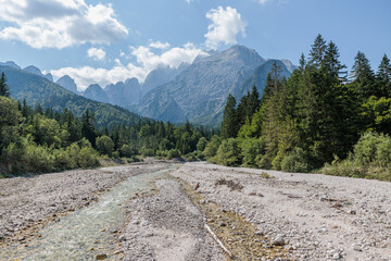 Fototapeta premium ampia vista panoramica su un torrente circondato da boschi e alte montagne nel nord est Italia dai colori brillanti, di giorno, in estate 