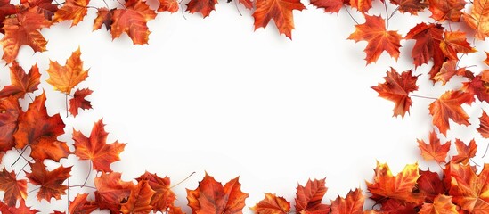 Autumn leaves form a frame against a white background leaving room for a copy space image