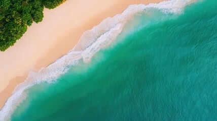 Fototapeta premium Aerial view of a serene beach with golden sand and turquoise waves, surrounded by lush greenery. Ideal for travel and relaxation themes.
