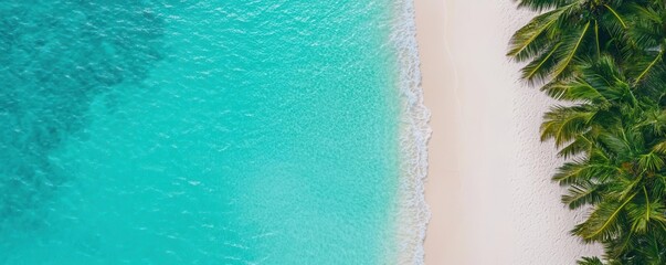 Aerial view of a serene beach with crystal clear water, soft white sand, and lush palm trees, perfect for relaxation and escape.
