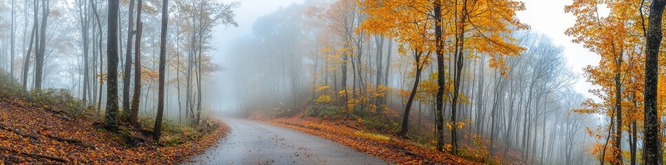 Fototapeta premium Driving through the Great Smoky Mountains National Park in the autumn
