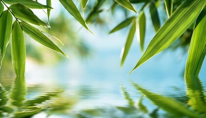 green bamboo leaves over water with empty space background ai generated image