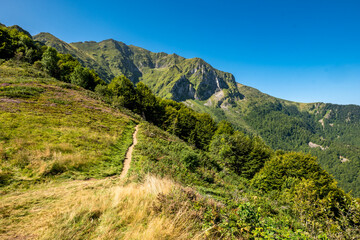 Fototapeta premium Scenic Mountain View with Greenery