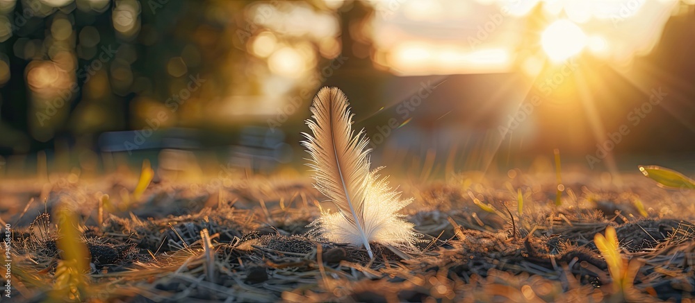 Aufkleber photo of a farm scene with a feather from an animal in focus set against a blurred background ideal 