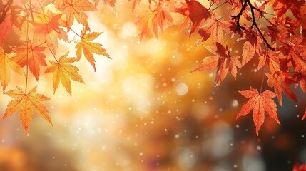 Fototapeta premium autumn tree in idyllic beautiful blurred autumn landscape panorama with fall leaves in sunshine, advertising space on leaf ground, a day outdoors in golden october, cheerful fall leaf season concept