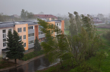 hurricane with rain in the city in spring