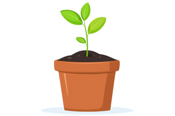 A fresh green plant emerges from a terracotta pot, symbolizing growth and nature's beauty in a cozy indoor setting. Isolated on transparent background.