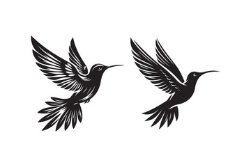 Hummingbird silhouette vector illustration