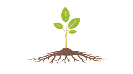Obraz premium A young plant sprouting from soil, symbolizing growth, nature, and renewal. Perfect for eco-friendly and gardening themes. Isolated on transparent background.