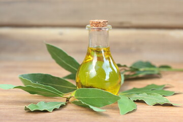 laurel (daphne) leaves and oil on wooden background