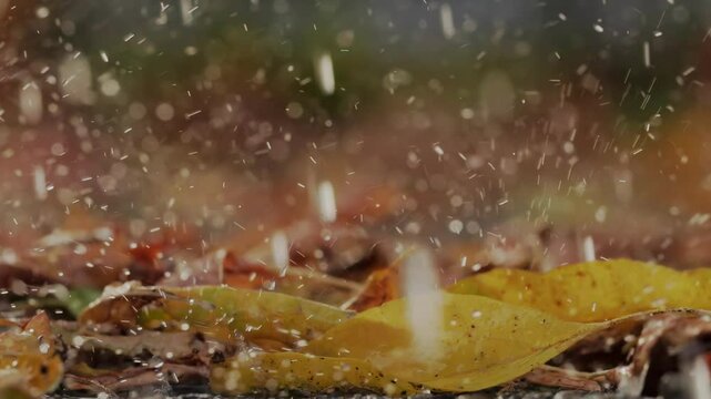 Autumn rain, drops fall on dry fallen leaves in slow motion x4. Foliage close up. Loneliness sadness concept. Sunny weather in park. Indian summer. Beautiful nature.